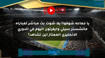 يا جماعة شوفوا! يلا شوت بث مباشر لمباراة مانشستر سيتي وإيفرتون اليوم في الدوري الإنجليزي الممتاز أين تشاهد؟